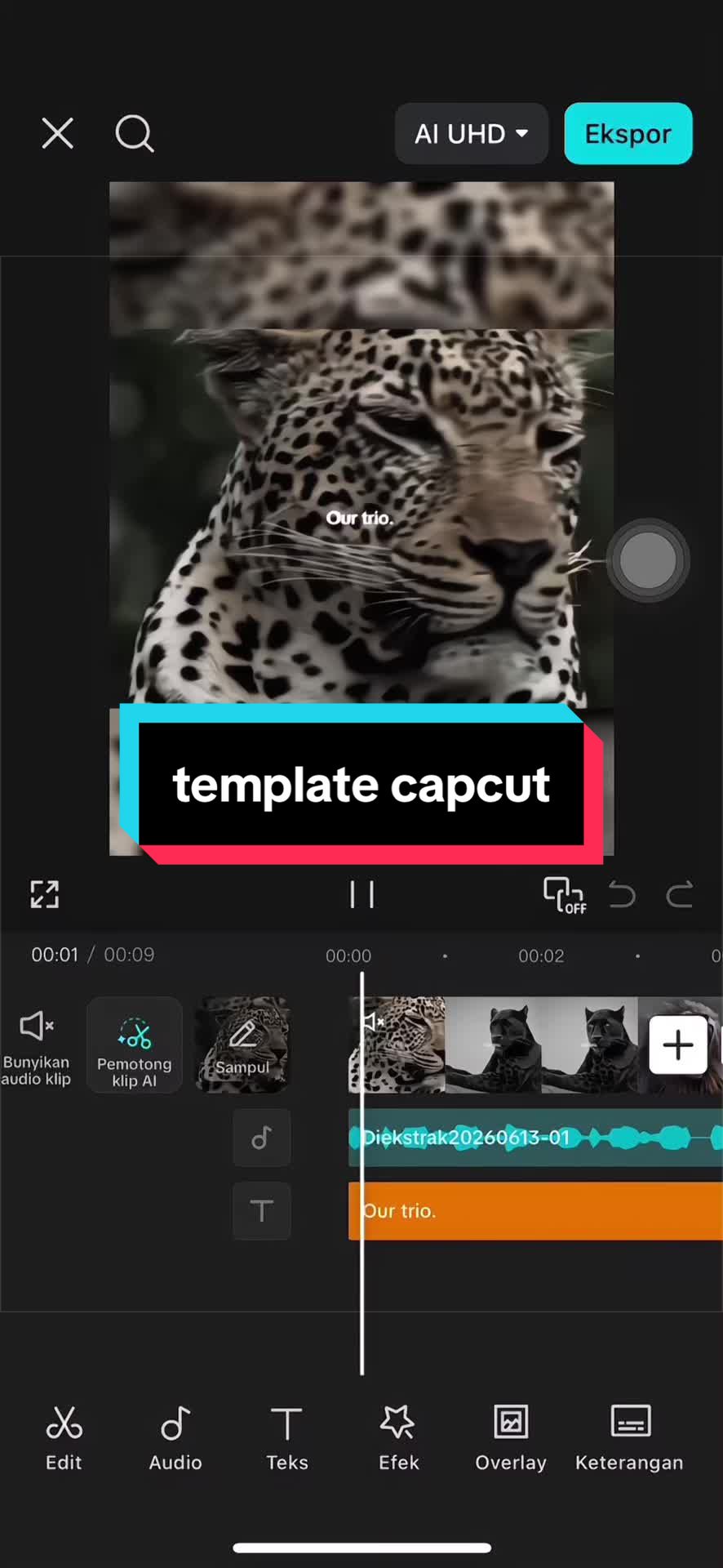 @Vanilla Capcut🎟