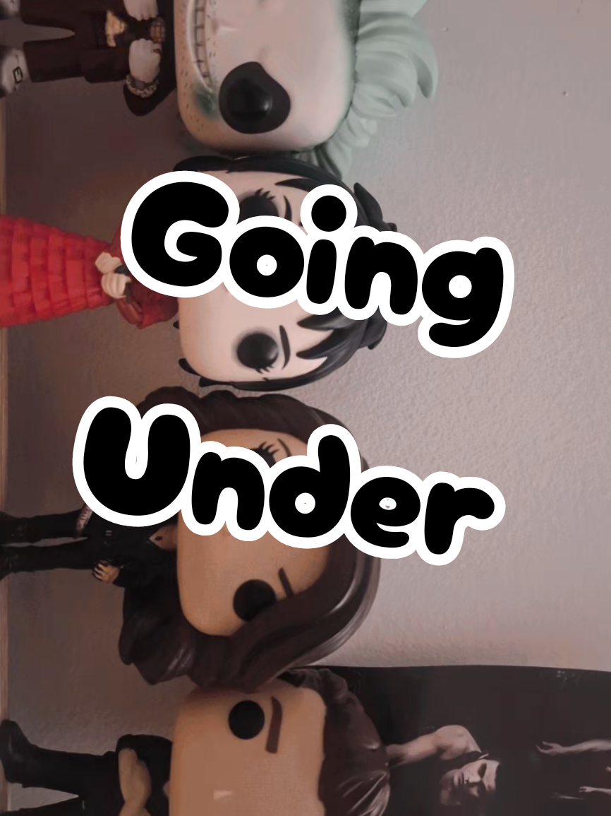 @Funko.Diaries