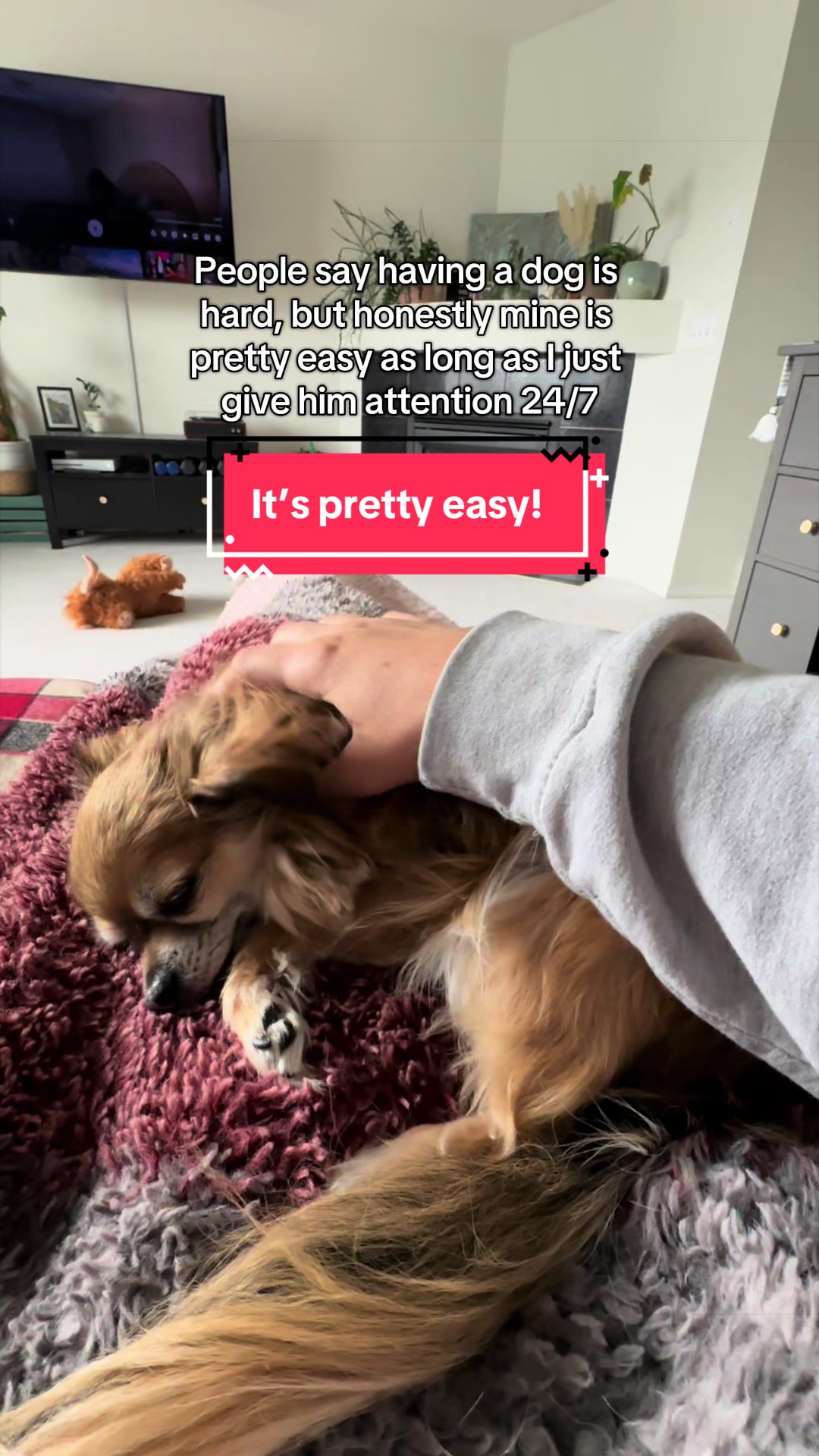 @Mochi & Ali 🐾🇨🇦