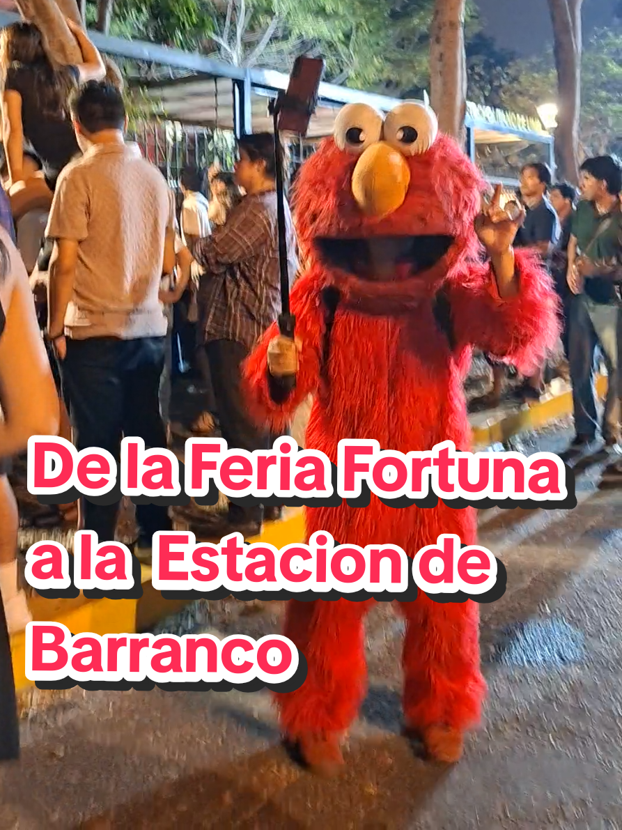 @Organiqo Poemario