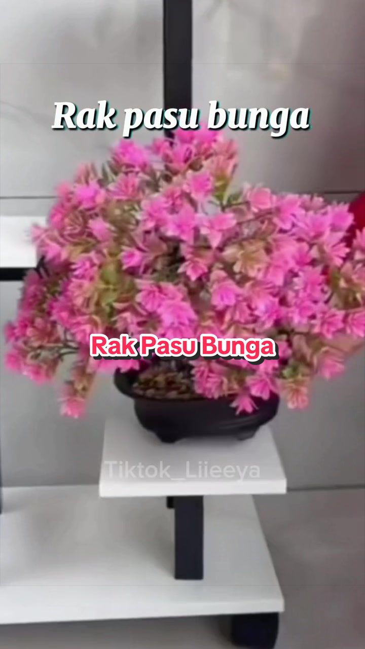 @Liya