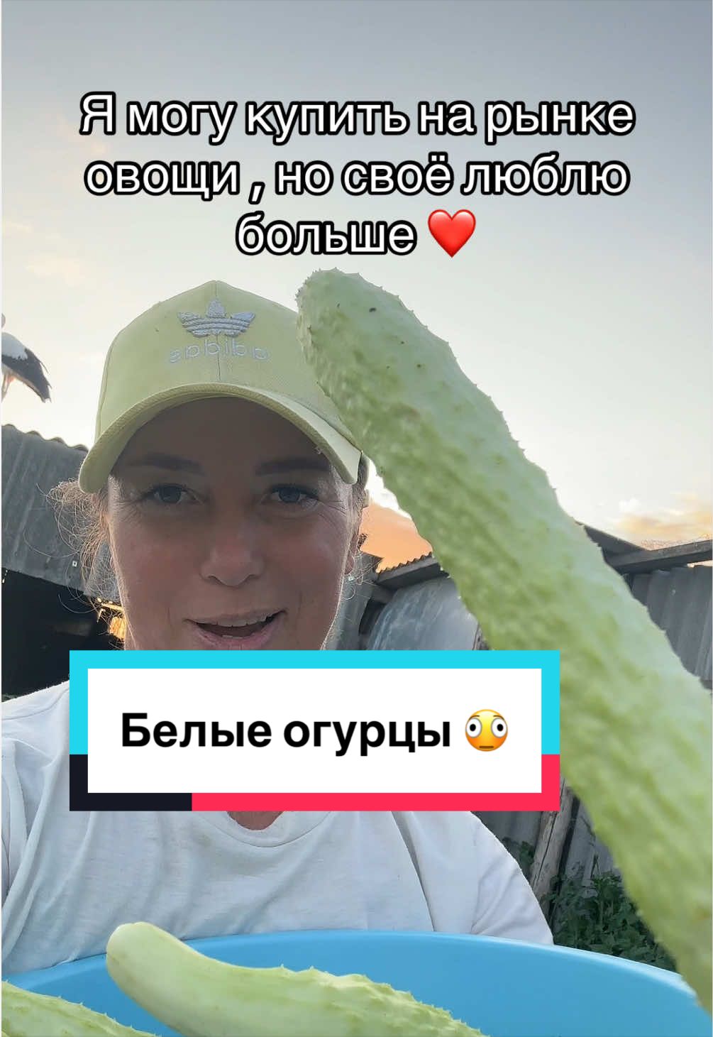 @Анастасия Чернявская.