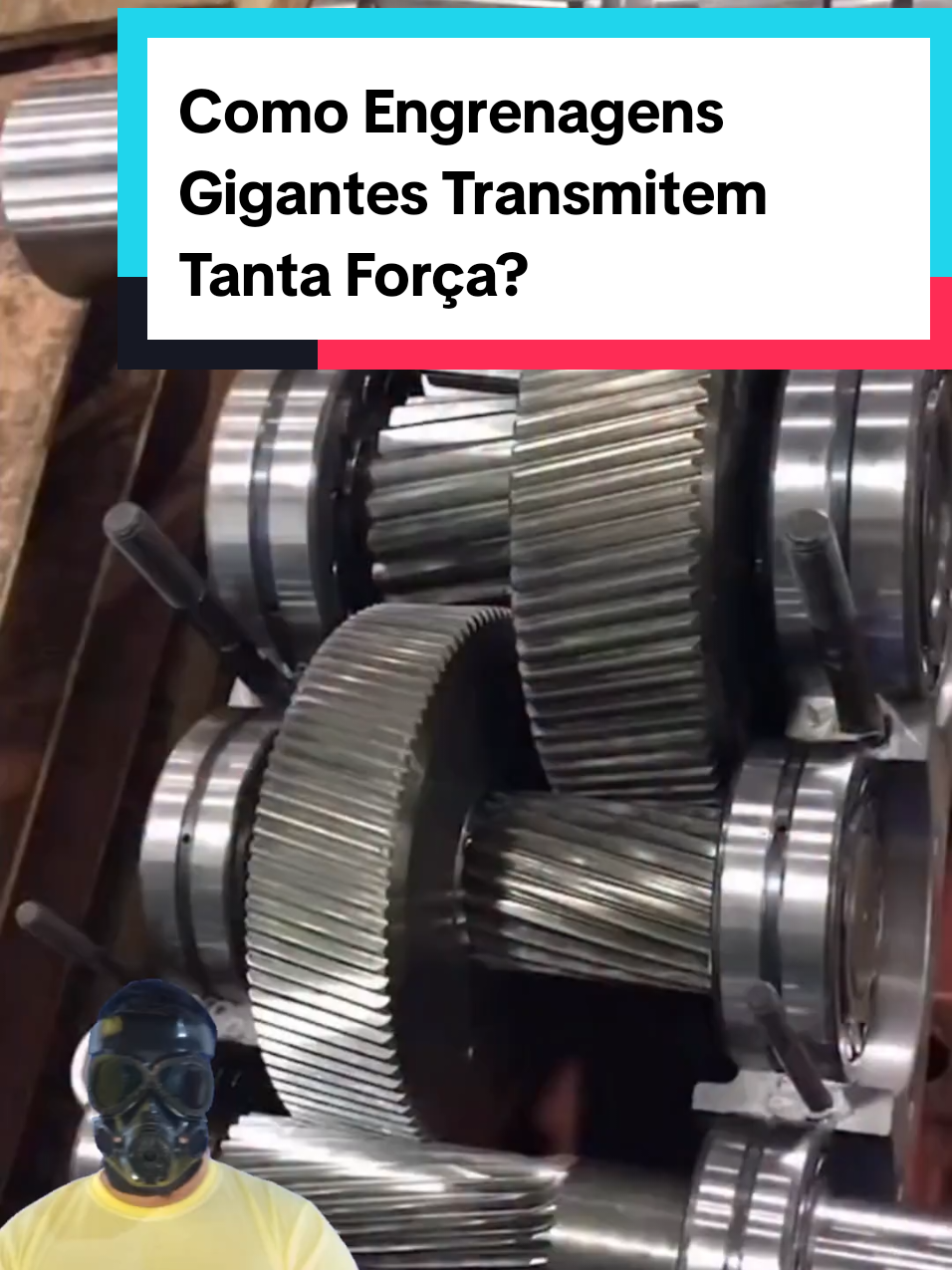 @Mundo da Curiosidades