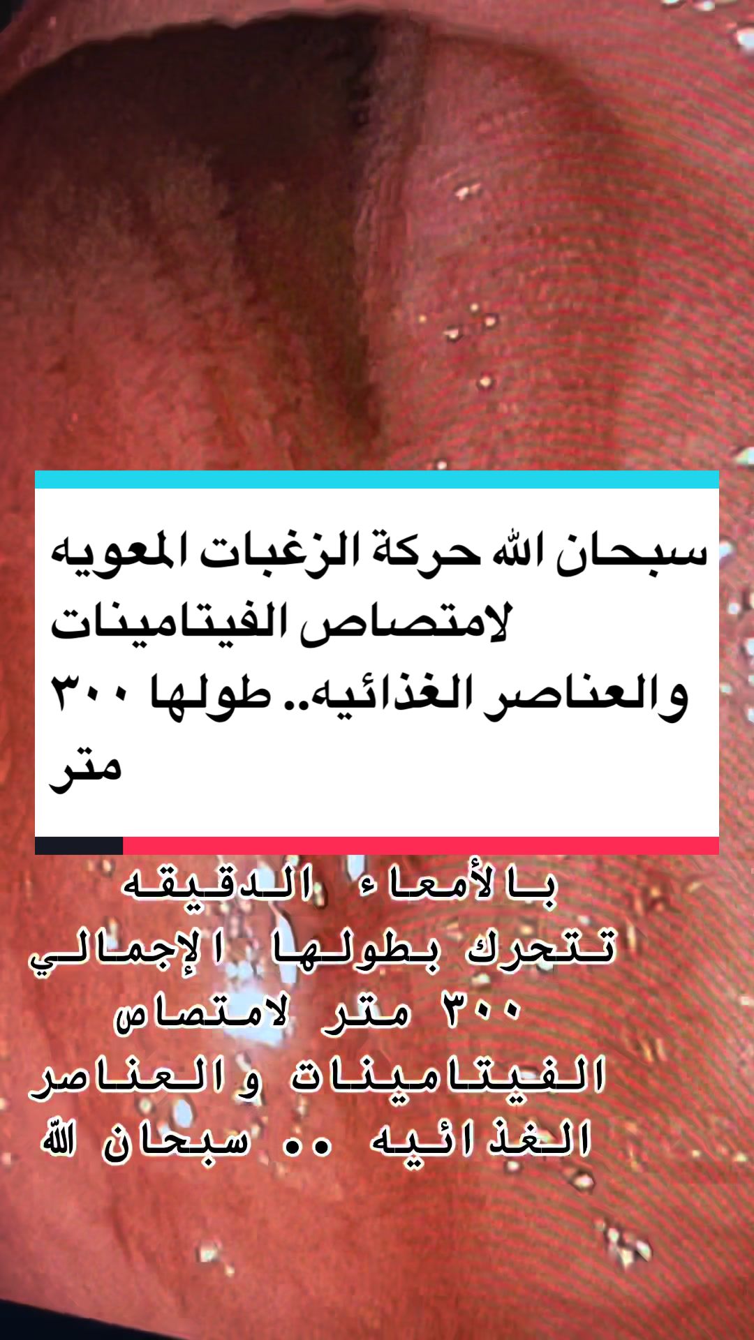 @Dr.AhmadRamadan