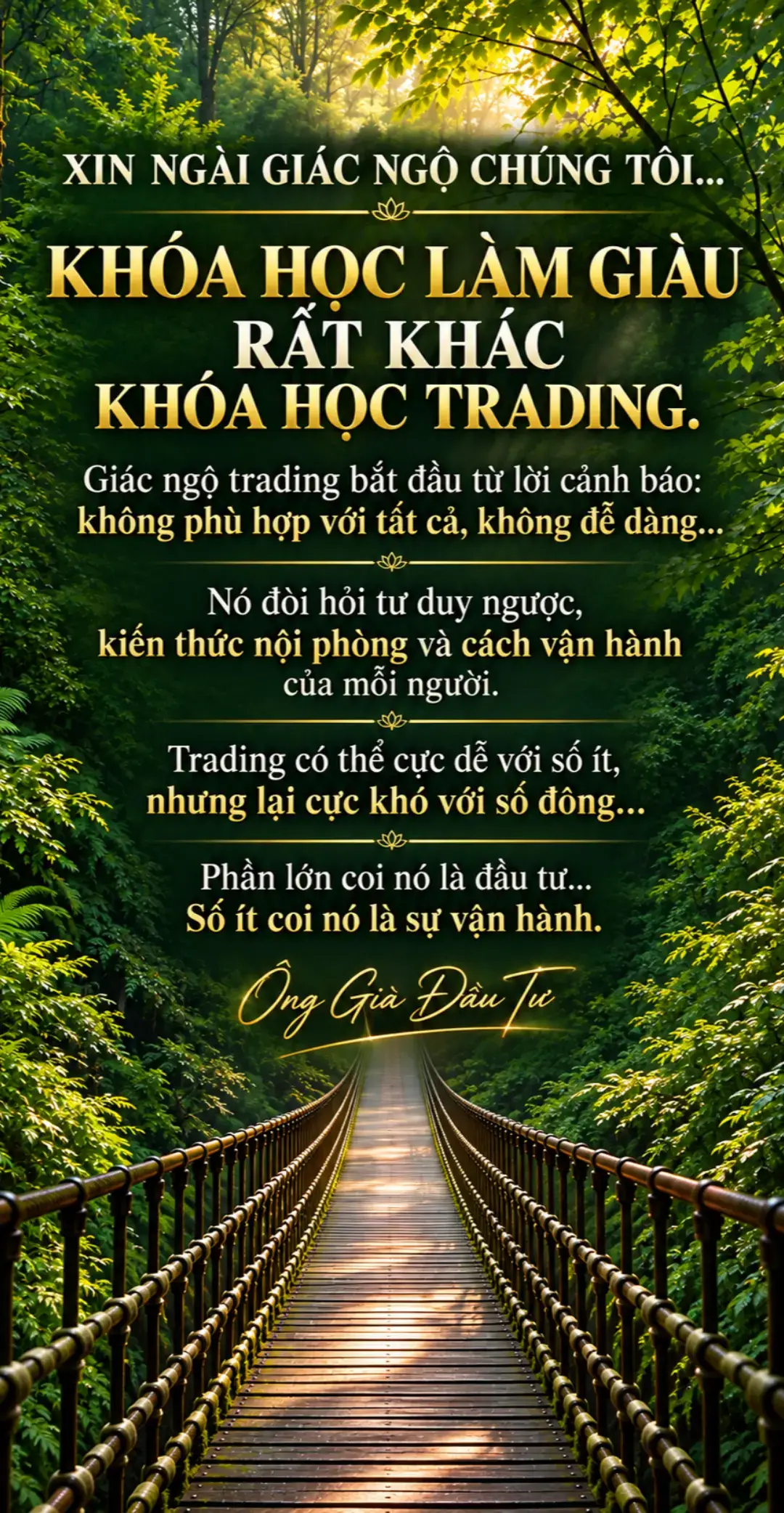 @&ocirc;ng gi&agrave; đầu tư 👴