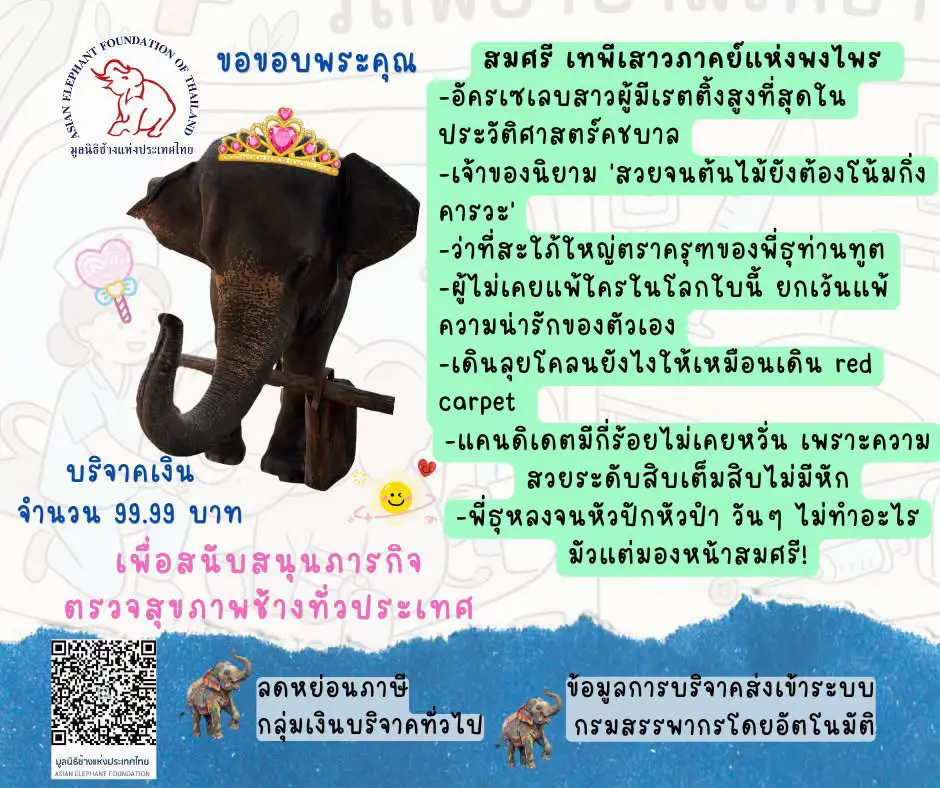 @Qvy Boonchanawiwat