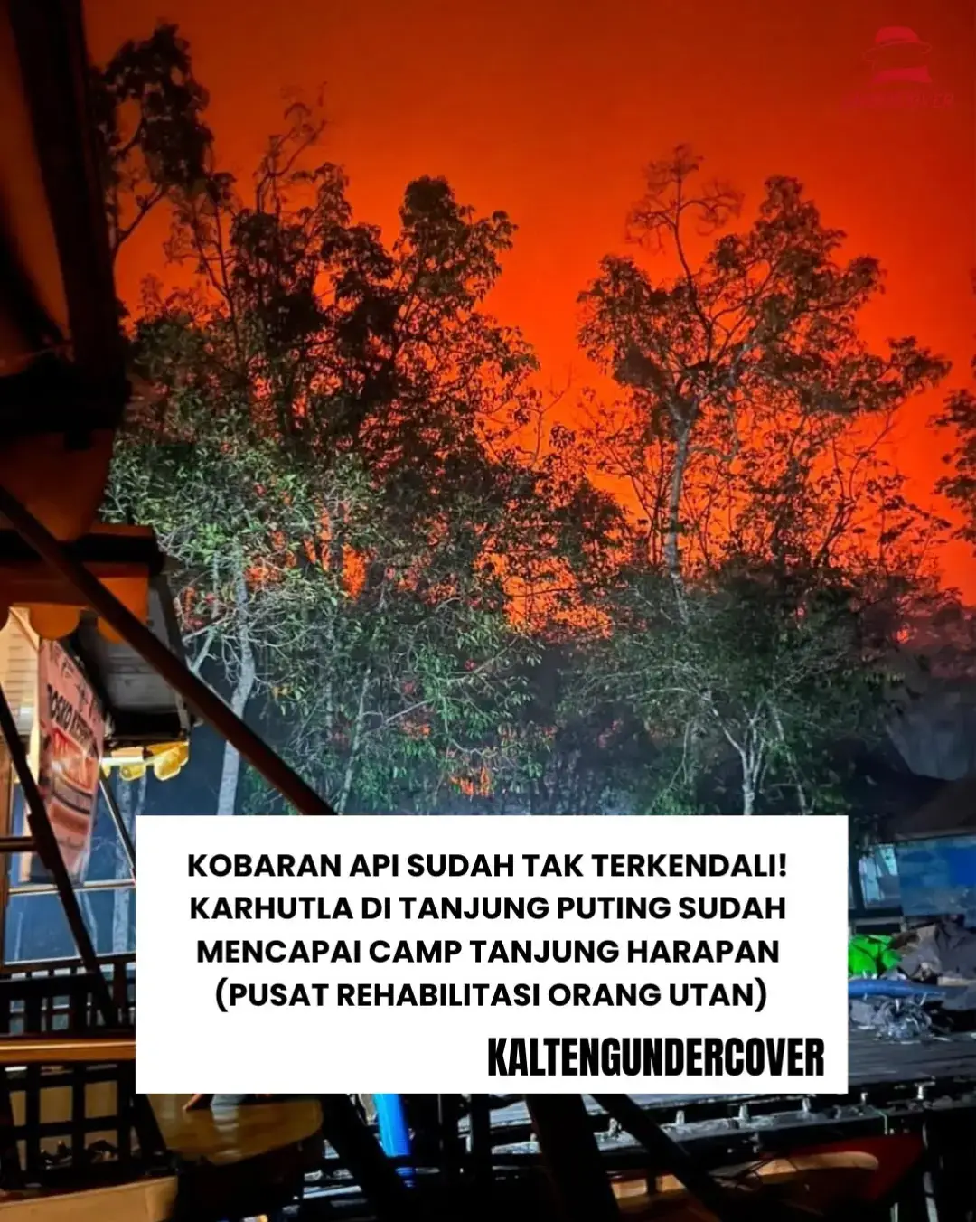 @kaltengundercover
