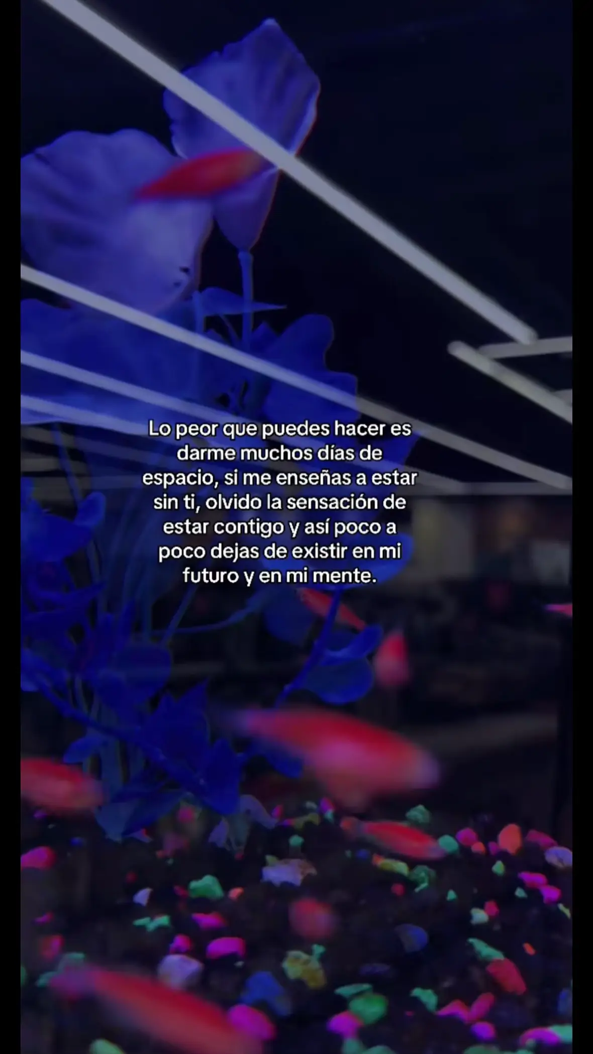 @JhOsep_Mhontero🦕🦕
