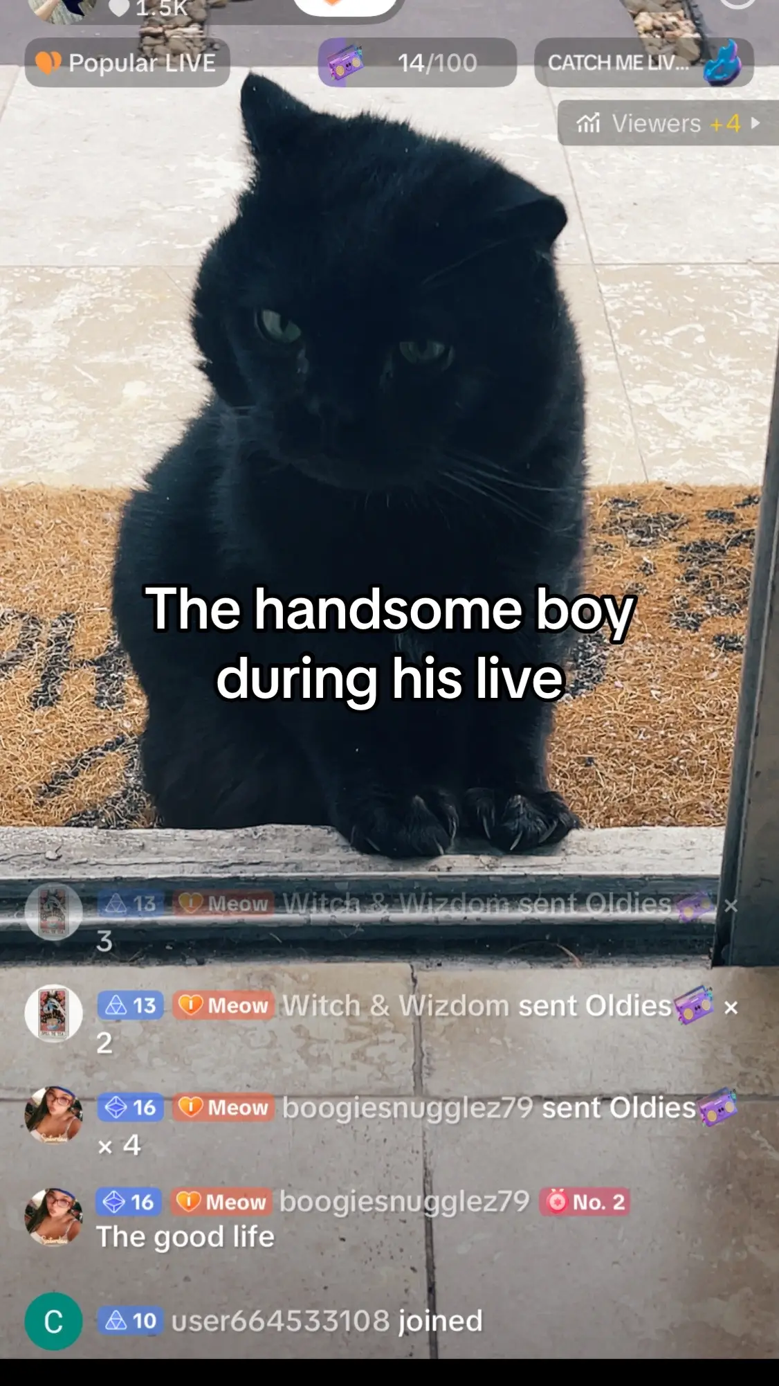 @Meow Meow