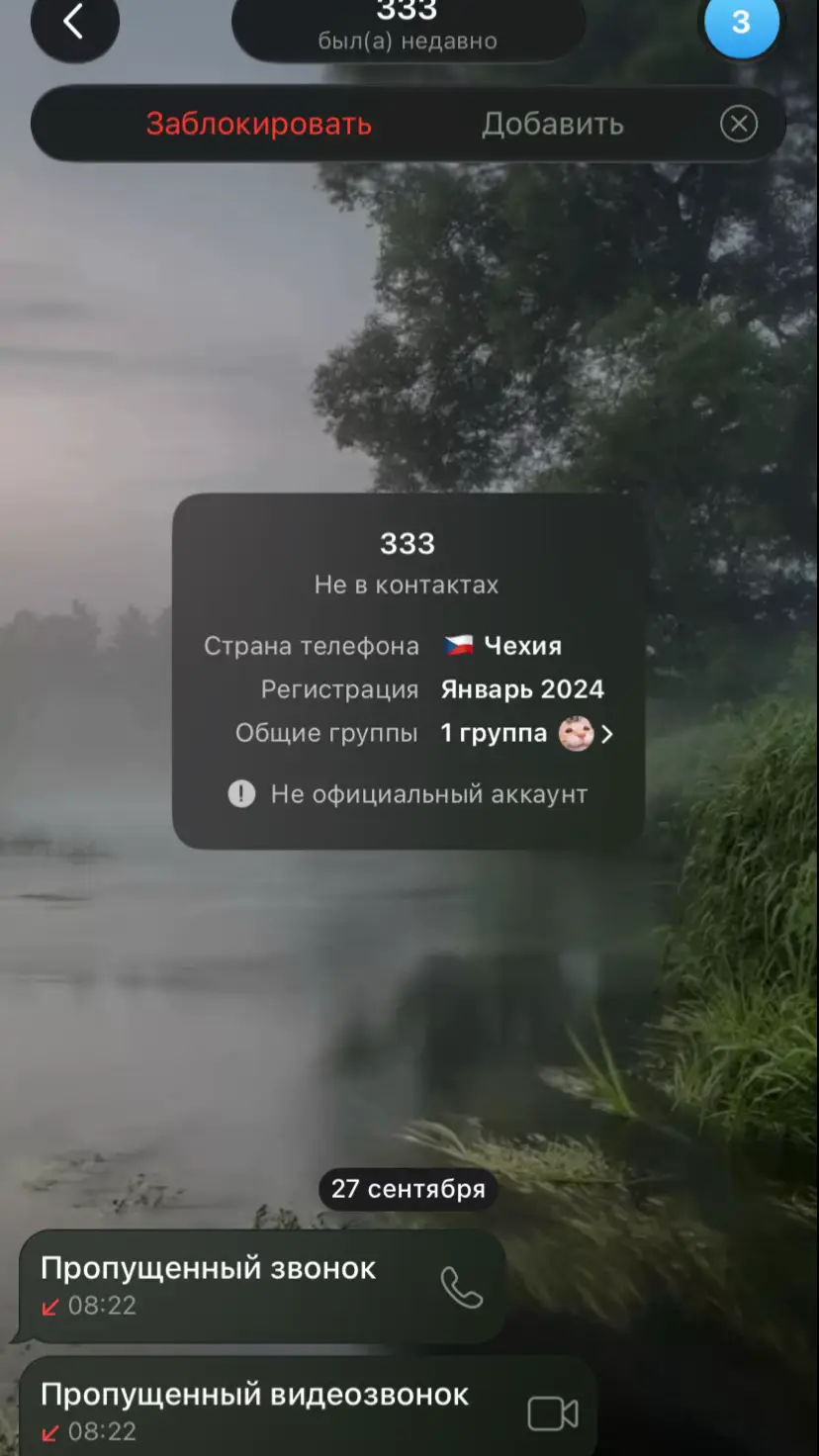 @Violetta_Sokolova