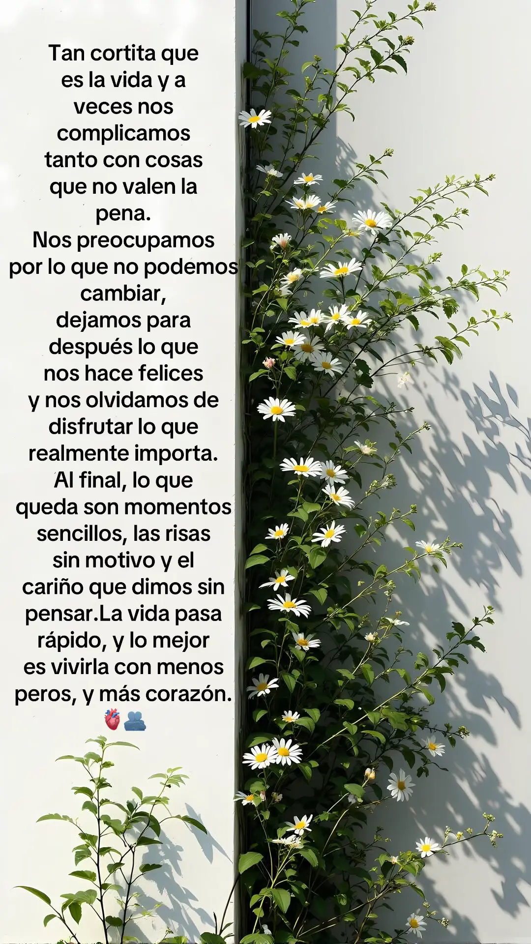 @Beatriz A .