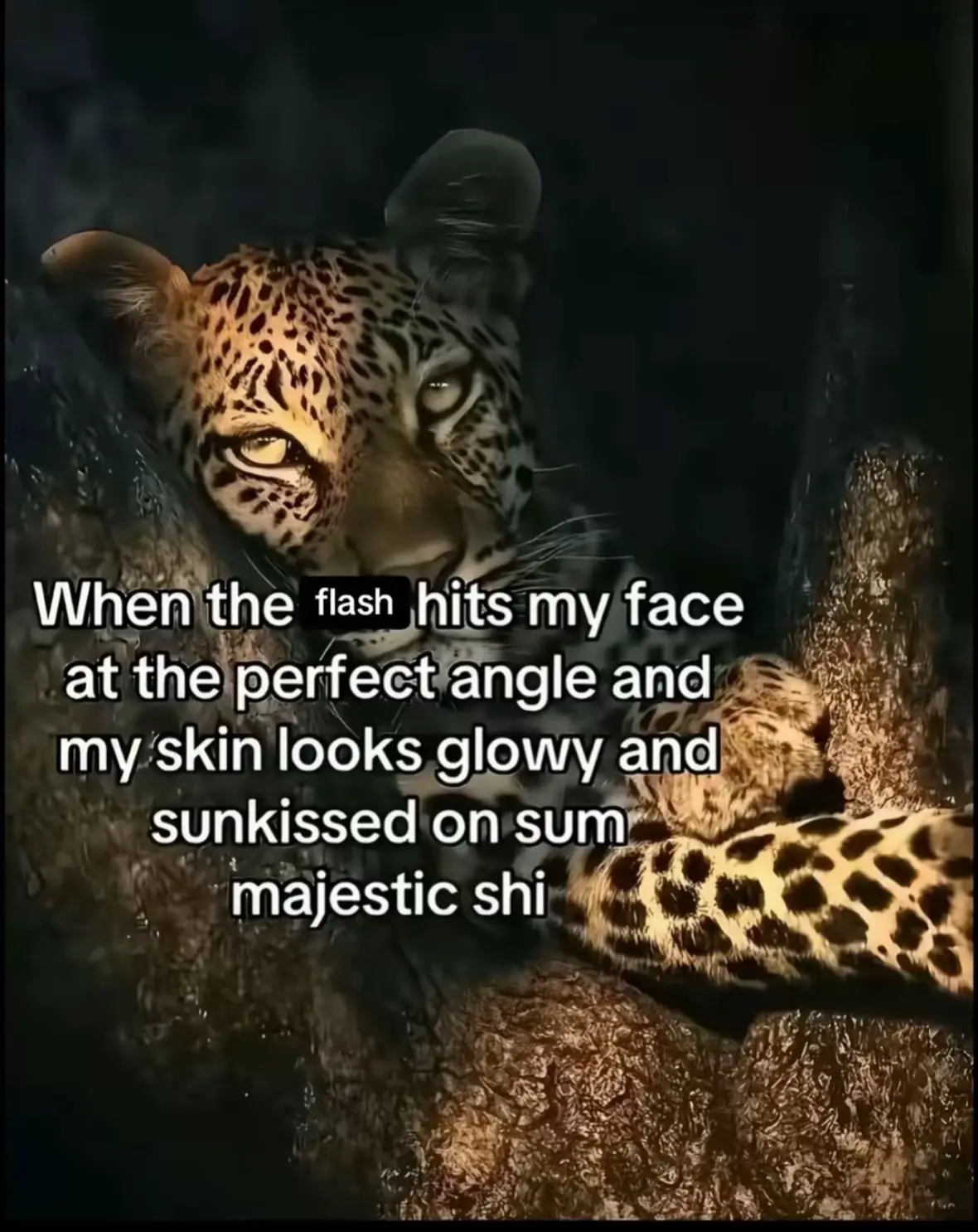 @Aleesha:)🤍