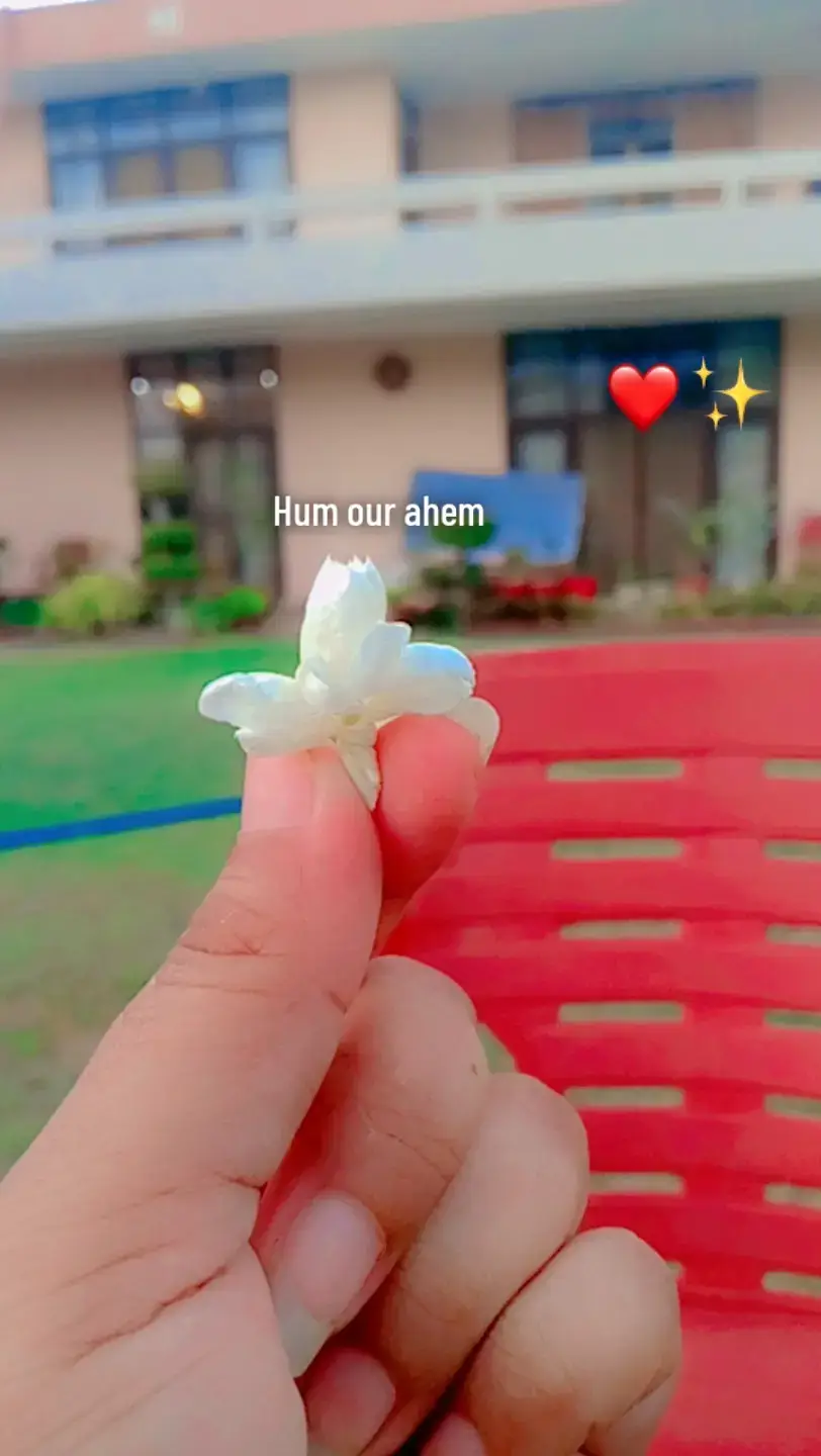 @🕊️⚔️Hammad writes ⚔️🕊️