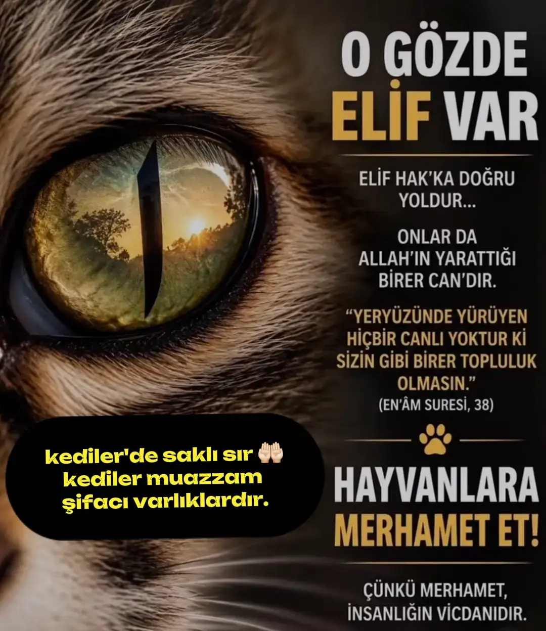 @HAYCAN MEDYA 🌐✔️