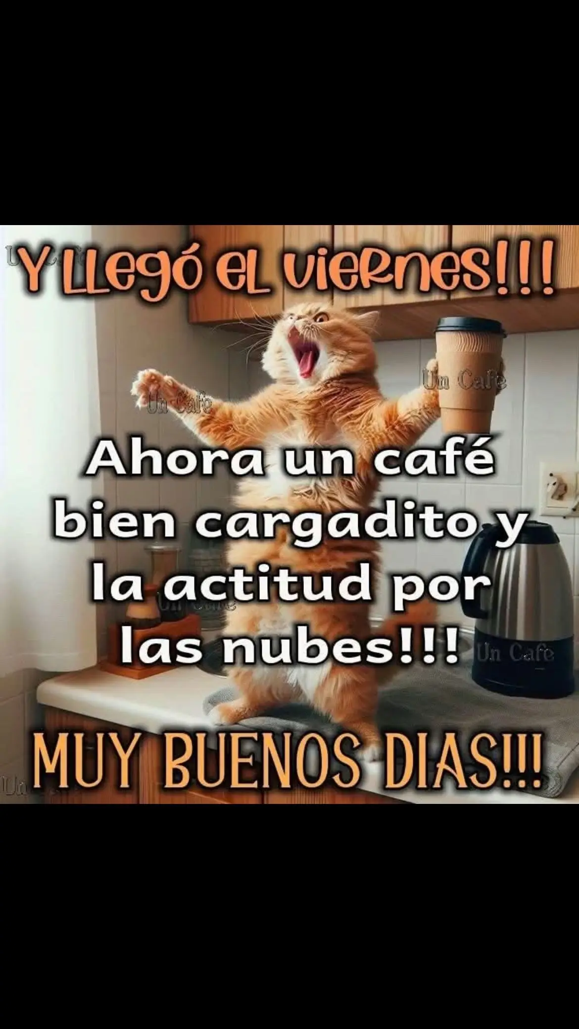 @Pedro Cruz