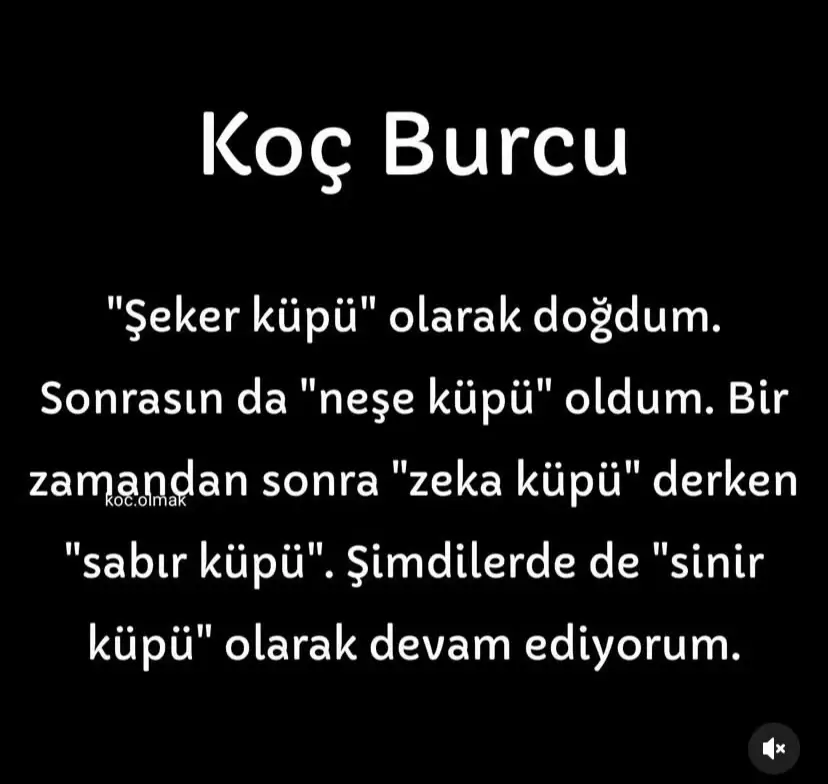 @kocburcu6