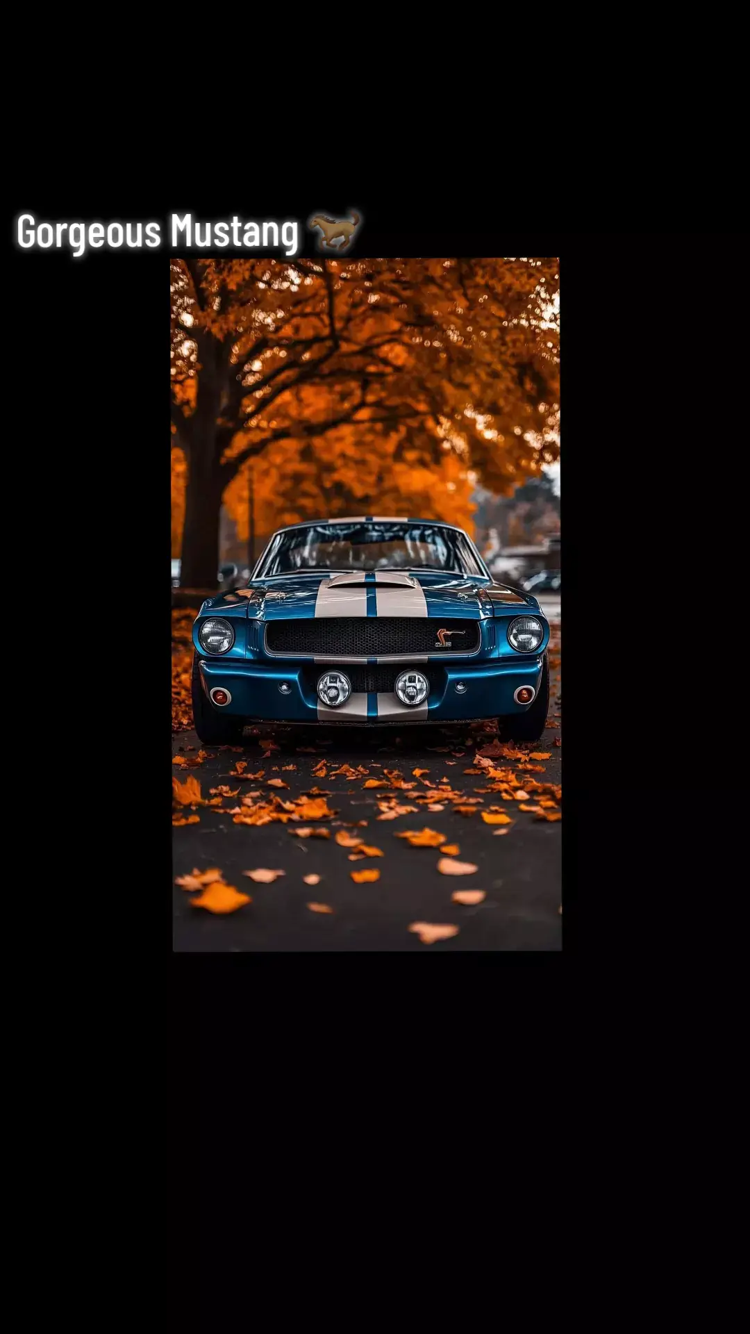 @Rare Classic cars🔹️