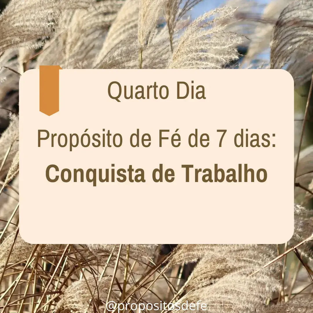 @Propósitos