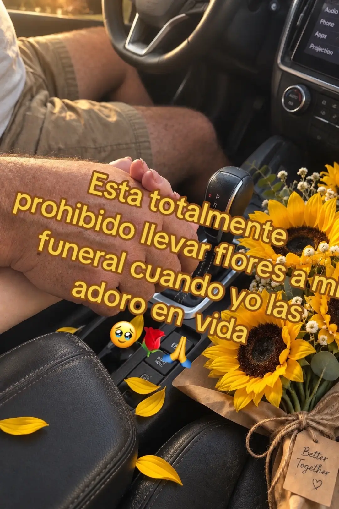 @🌴Briseño🐻❄️