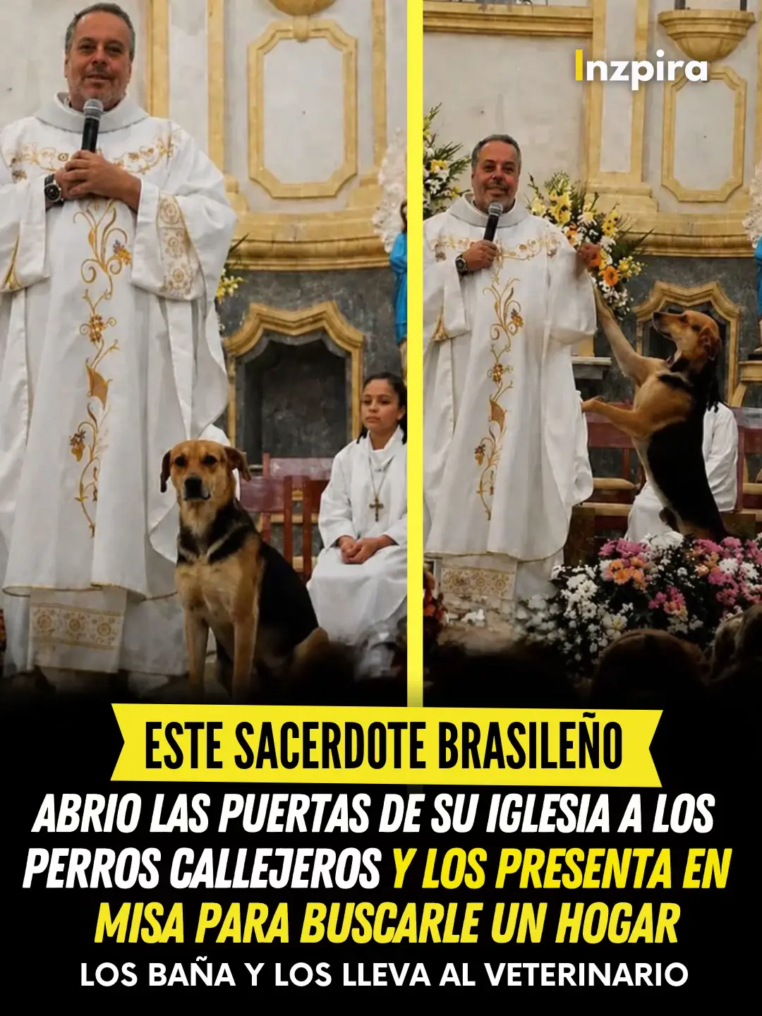 @inzpira.oficial
