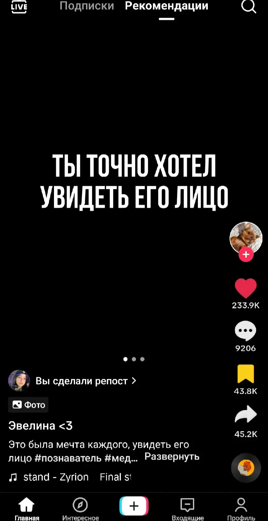 @bixbis