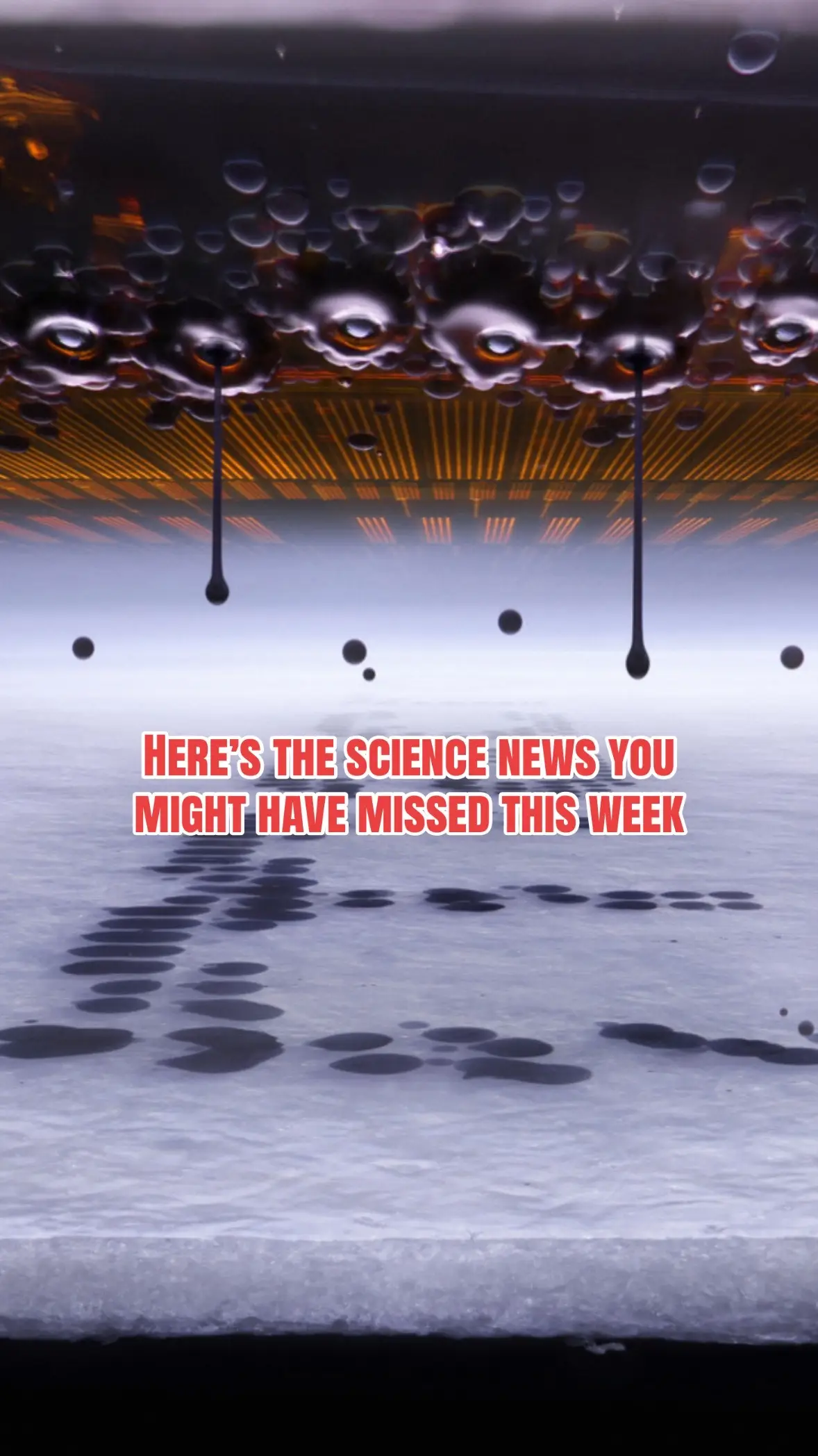 @Science News