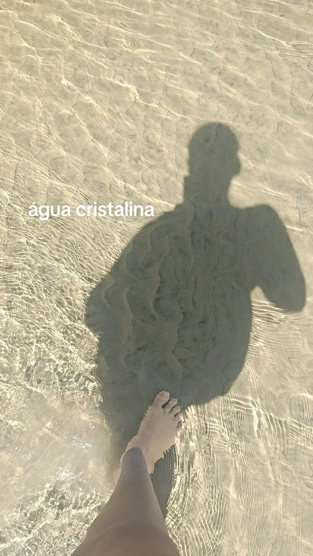 @Juliana Marques G