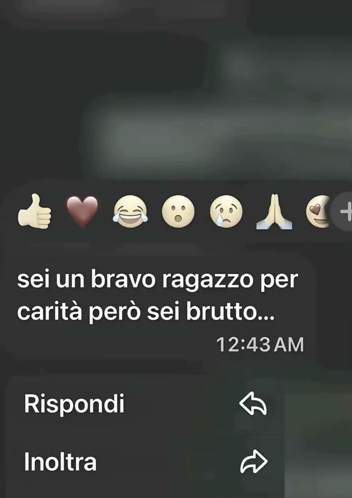 @lucacacciapuoti4
