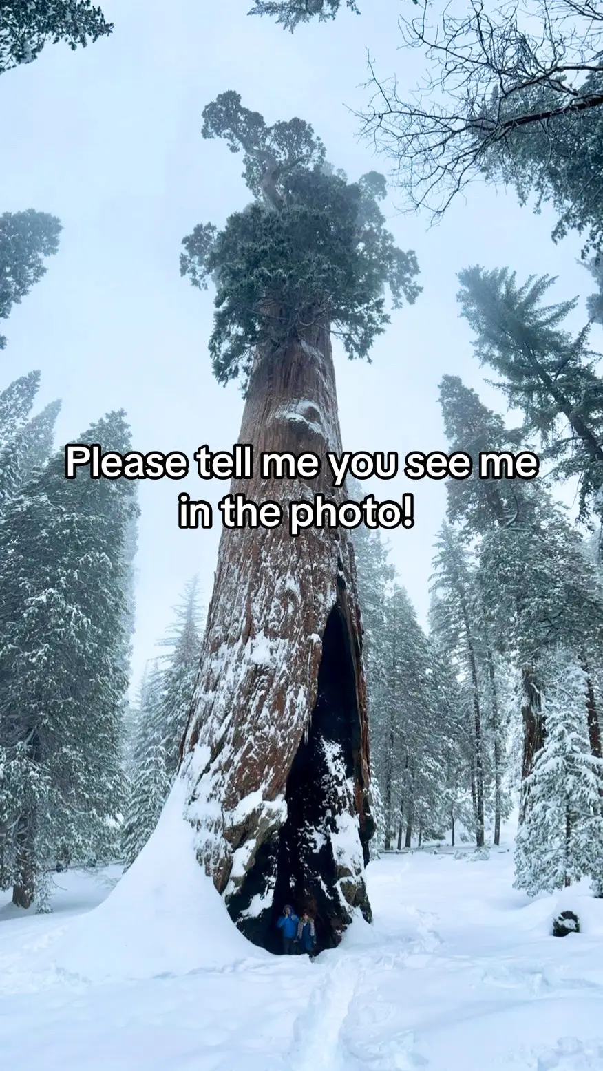 @Se&ntilde;or Pechuga