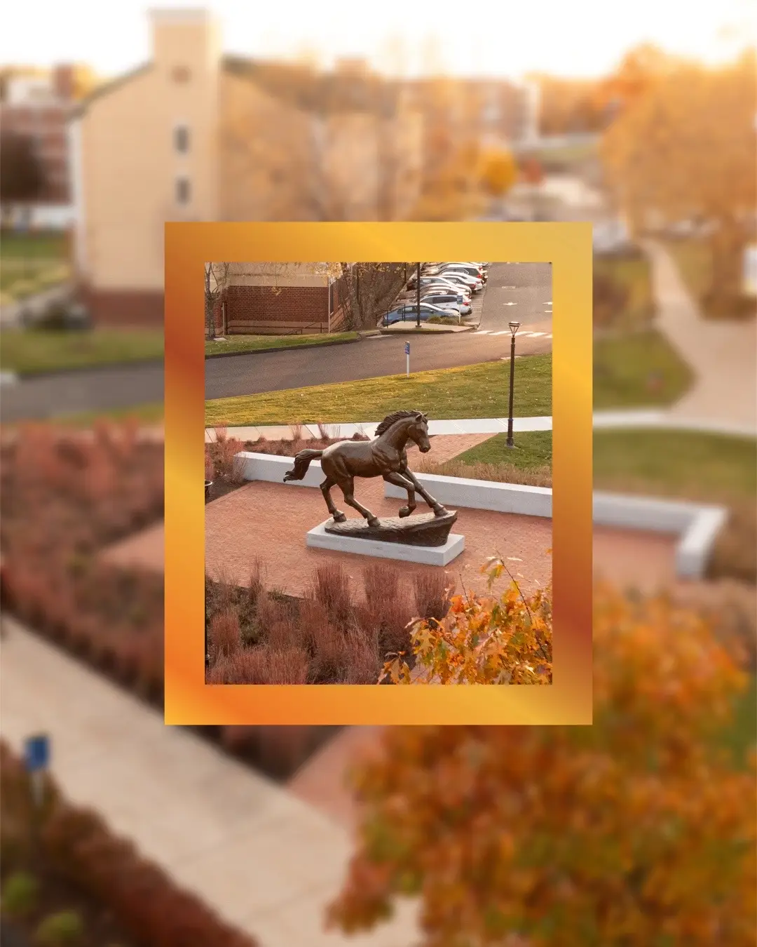 @University of New Haven