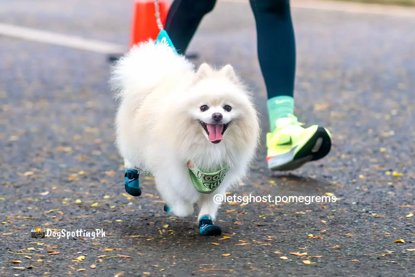 @G H O S T TheRunnerPom
