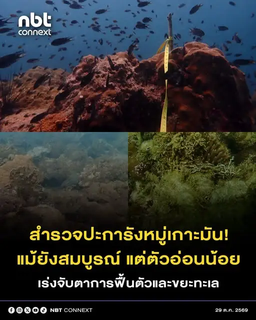 @° หมานิ้ง °