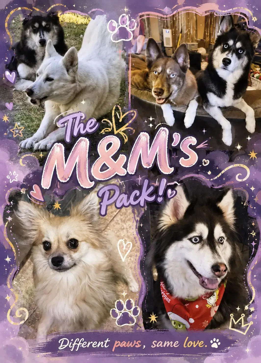 @The Dog Mom