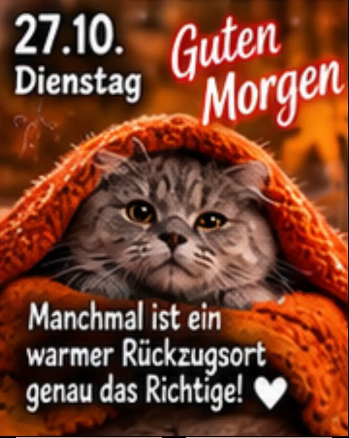 @Kirsten Ihde - Schnarr