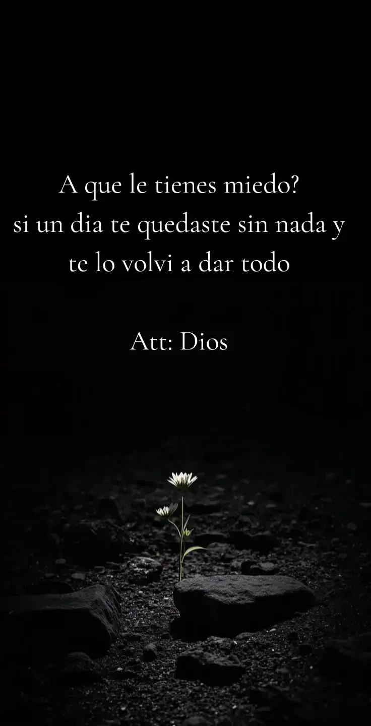 @Andreina Liendo 🌺