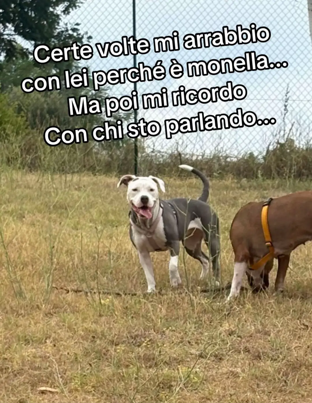 @giulia&ariel