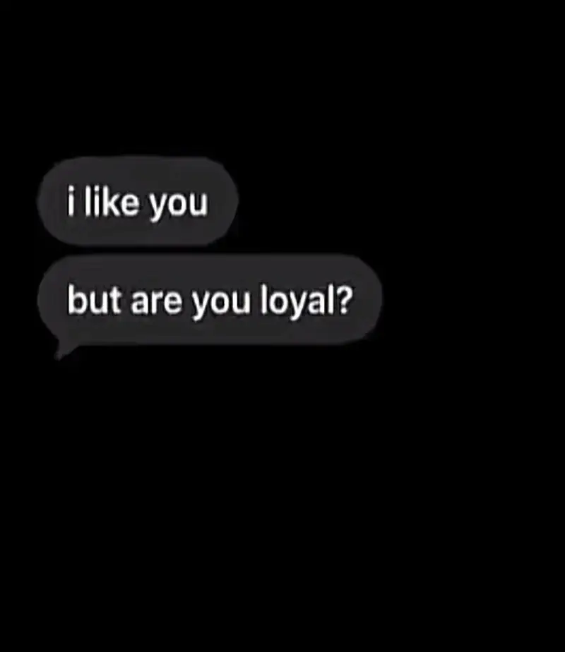 @xylo