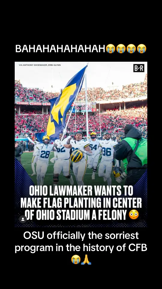 @theflockzone