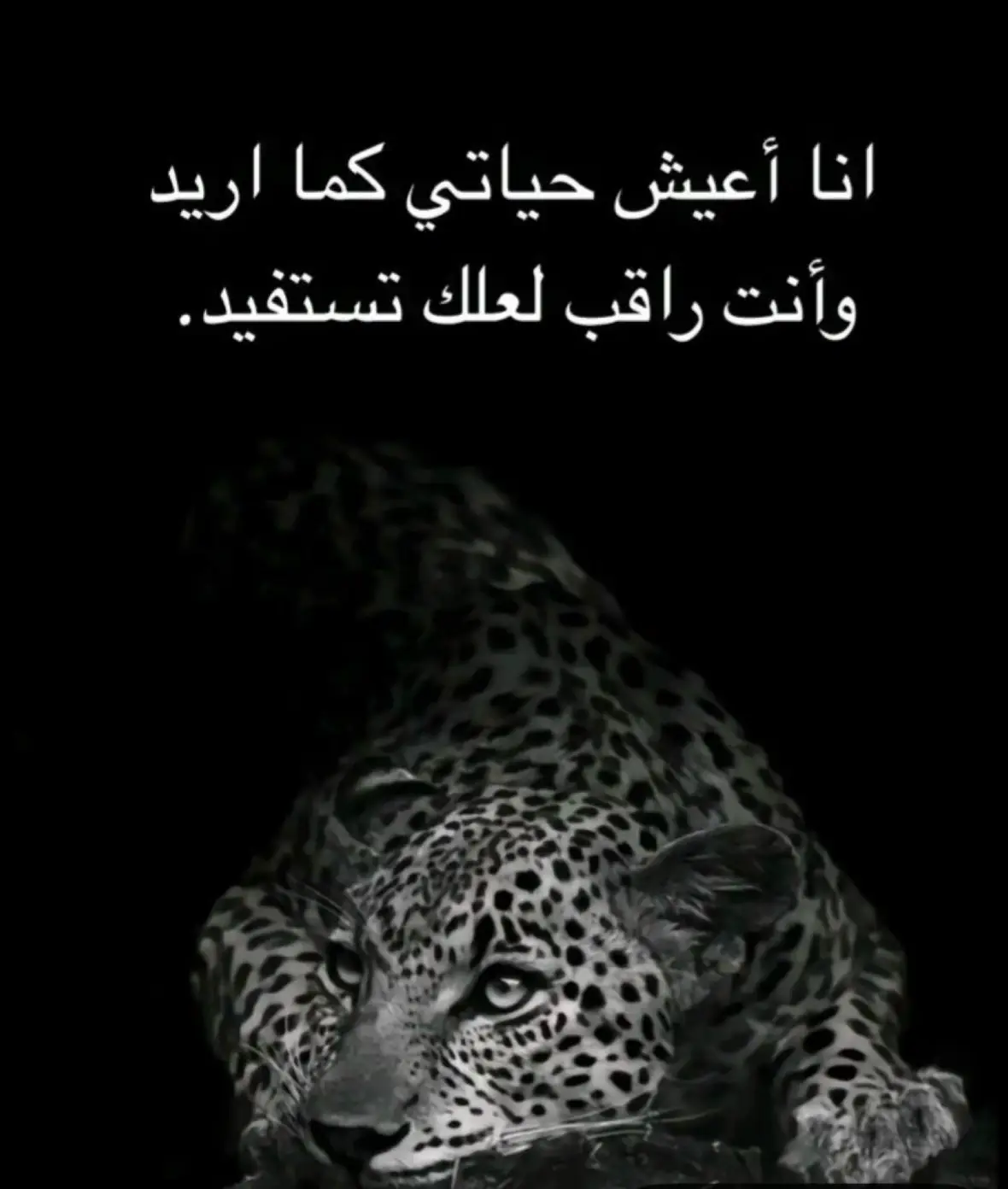 @﮼ايهم ﮼عكير ➰