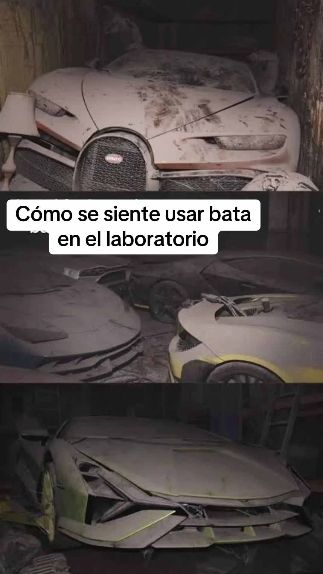 @Maca