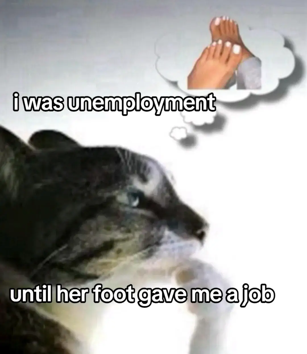 @iluvmusic メ𝟶