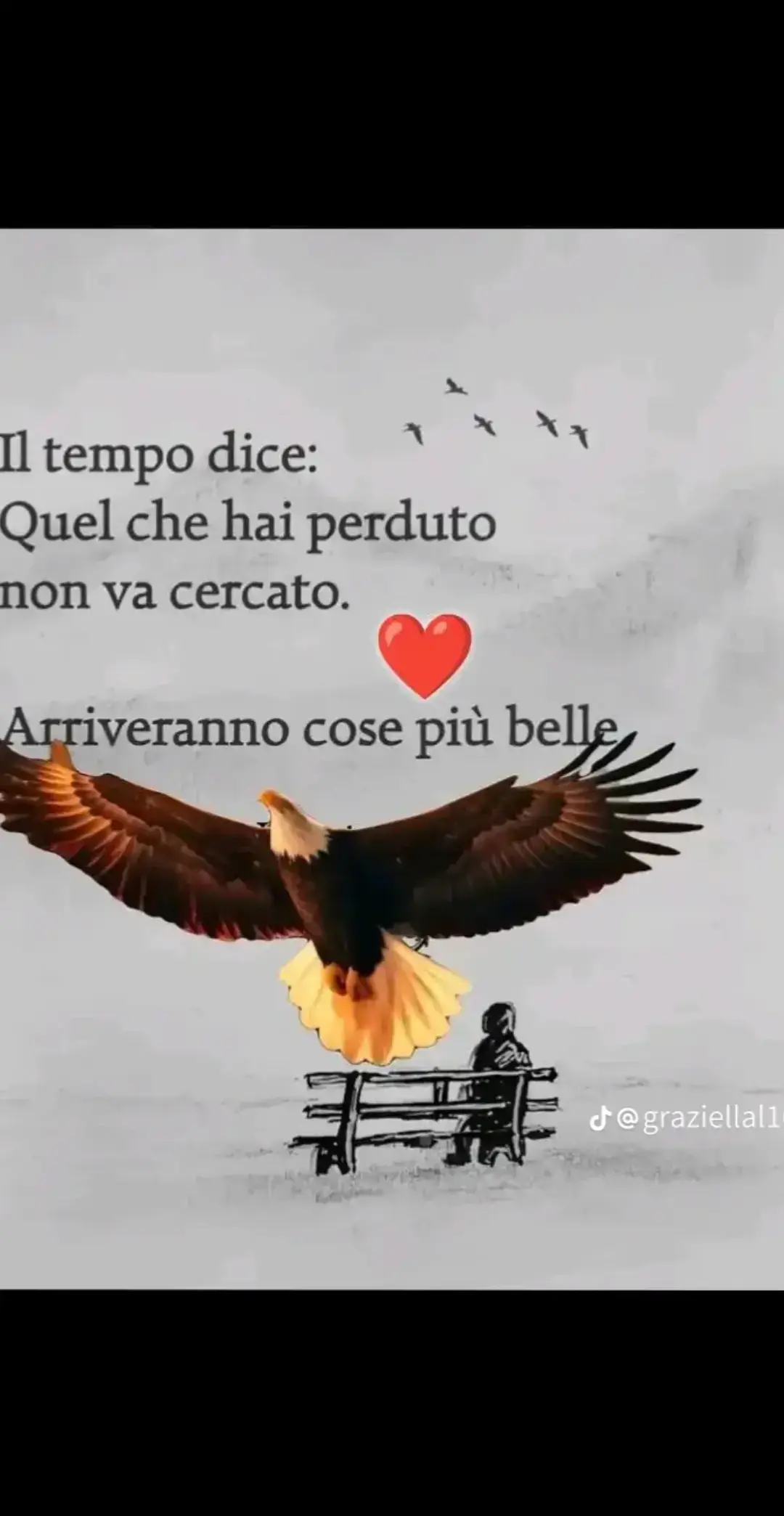 @Federico Beatrice 7