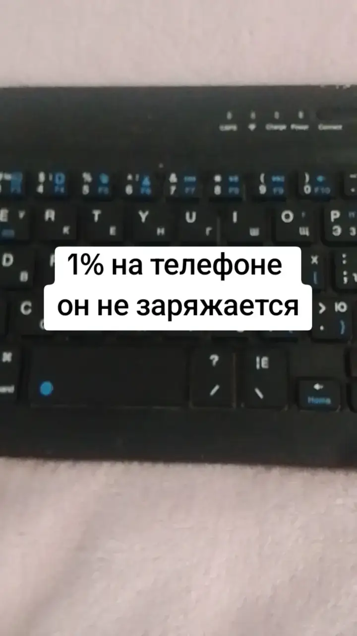 @крыска котик