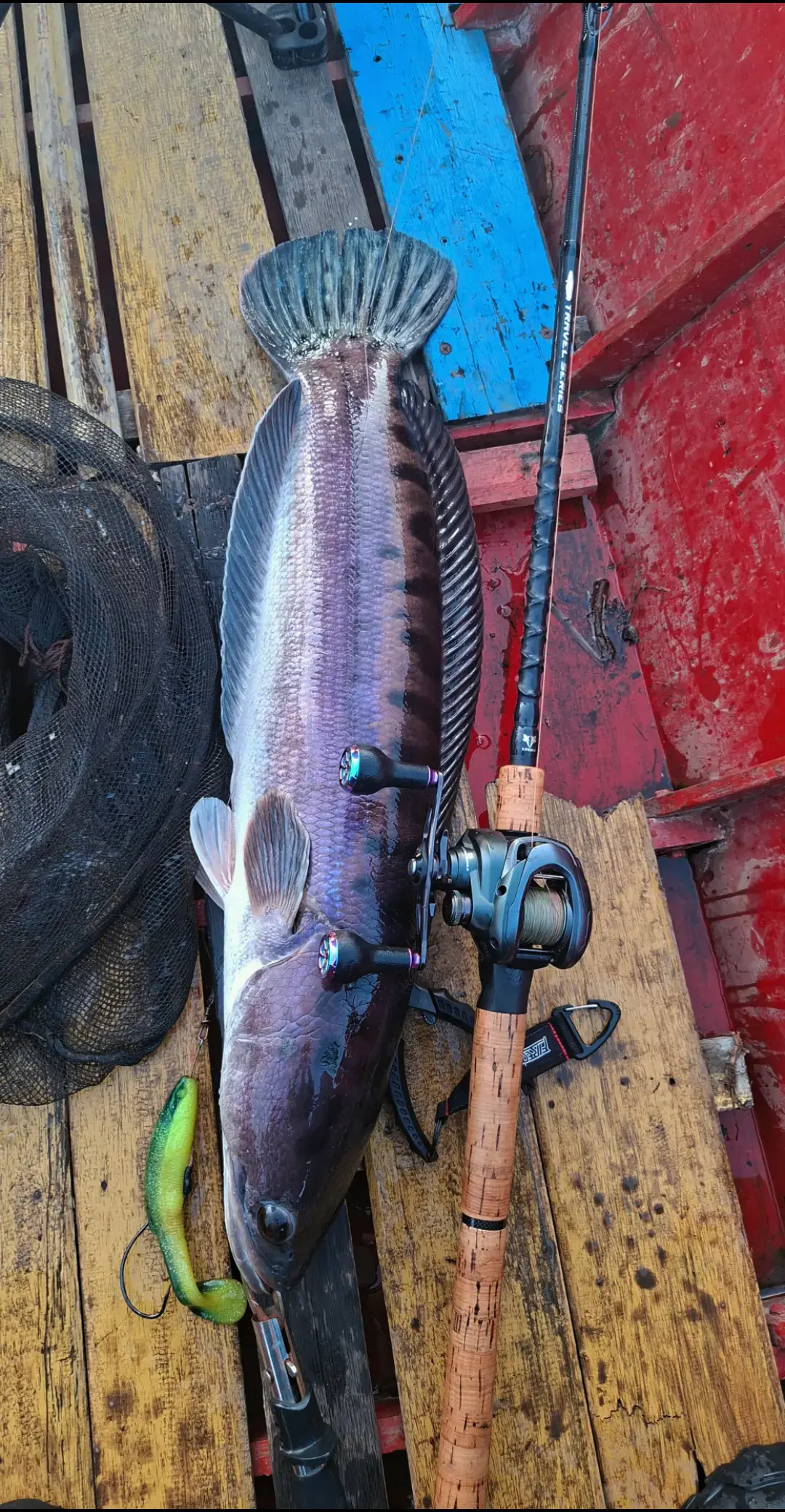 @TungFishing