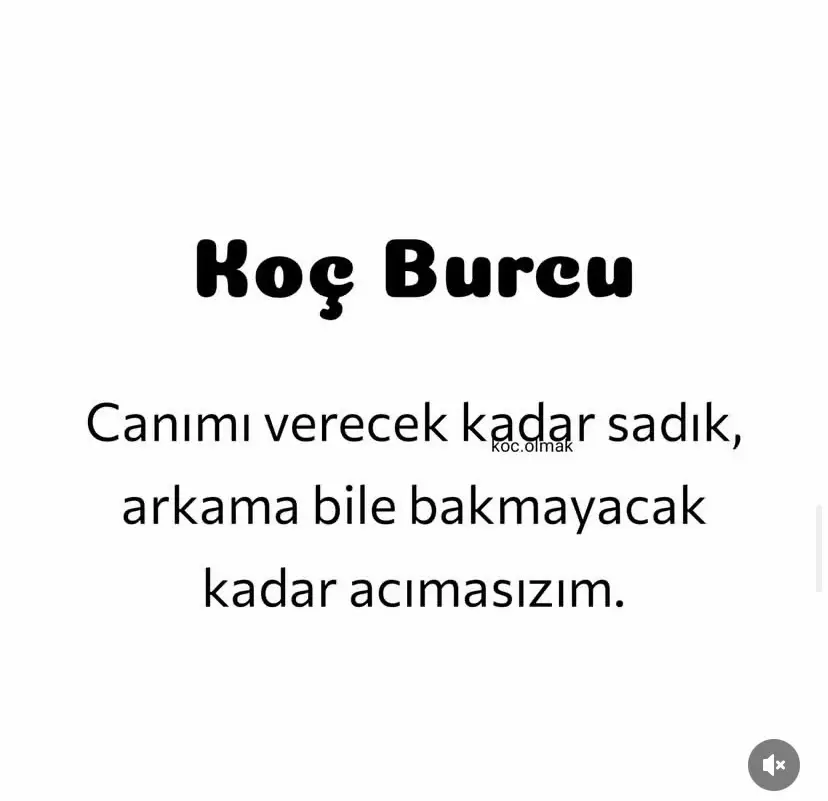 @kocburcu6