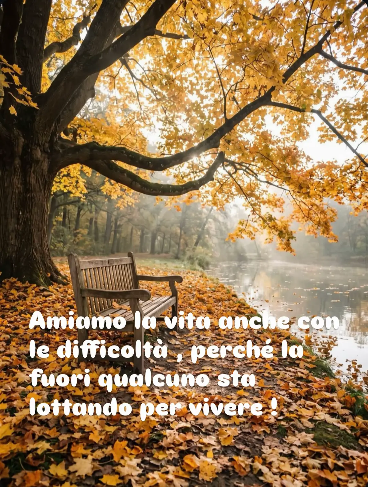 @Micina— annamaria