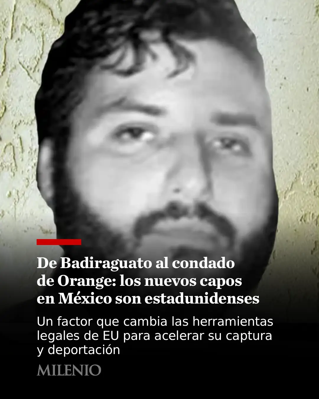 @MILENIO