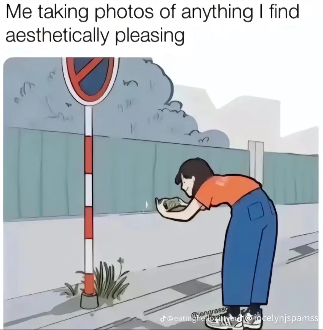 @Pom🇰🇵
