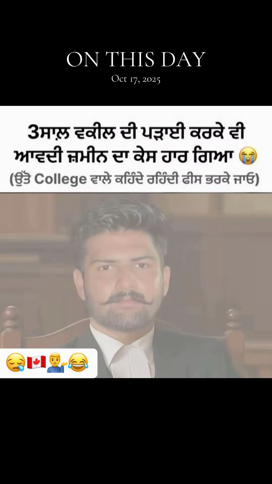 @vehlijanta761