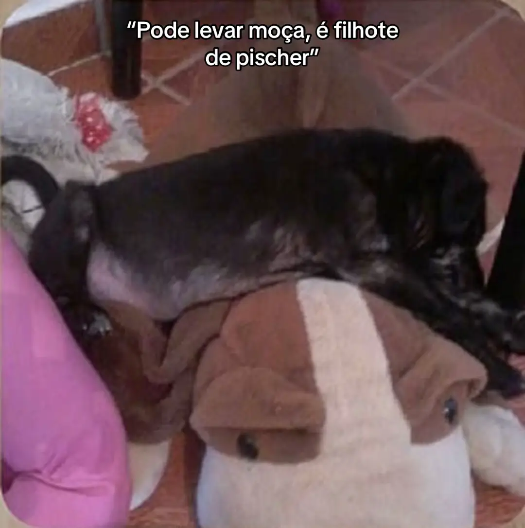 @Mireya Porto